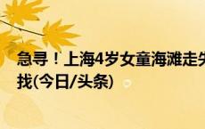 急寻！上海4岁女童海滩走失已超24小时，警方正在全力寻找(今日/头条)