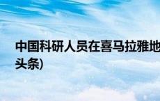 中国科研人员在喜马拉雅地区发现2个哺乳动物新种(今日/头条)