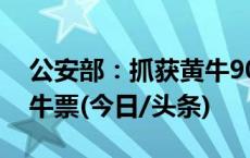 公安部：抓获黄牛900余人，查获1.2万张黄牛票(今日/头条)