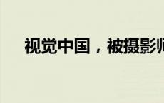 视觉中国，被摄影师起诉！(今日/头条)