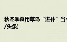 秋冬季食用草乌“进补”当心中毒！云南疾控最新提示(今日/头条)