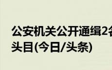 公安机关公开通缉2名缅北电诈犯罪集团重要头目(今日/头条)