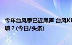 今年台风季已近尾声 台风KPI要完不成了 这跟厄尔尼诺有关嘛？(今日/头条)