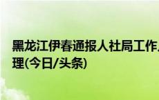 黑龙江伊春通报人社局工作人员拍桌怒斥办事群众：清退处理(今日/头条)