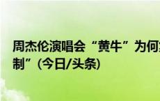 周杰伦演唱会“黄牛”为何集体黄了？来了解一下“强实名制”(今日/头条)