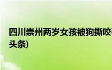 四川崇州两岁女孩被狗撕咬引发追责讨论，律师释疑(今日/头条)