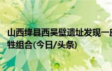 山西绛县西吴壁遗址发现一座兽骨坑 系最早“牛羊猪狗”祭牲组合(今日/头条)