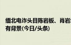 缅北电诈头目陈岩板、肖岩块被佤邦撤职，两人在当地曾颇有背景(今日/头条)