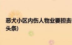 恶犬小区内伤人物业要担责吗，养犬条例如何落实？(今日/头条)