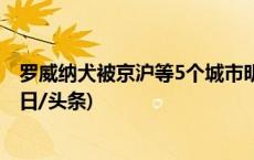 罗威纳犬被京沪等5个城市明确标明在“禁养犬”名单中(今日/头条)