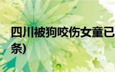 四川被狗咬伤女童已筹齐200万捐款(今日/头条)