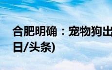 合肥明确：宠物狗出门不拴绳，一律捕捉(今日/头条)