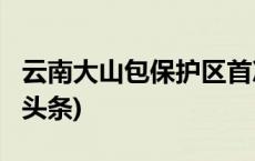 云南大山包保护区首次发现红胁绣眼鸟(今日/头条)