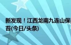 新发现！江西龙南九连山保护区发现植物新物种弧冠报春苣苔(今日/头条)