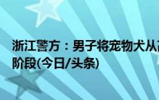 浙江警方：男子将宠物犬从高空抛下，该案已进入法院审理阶段(今日/头条)