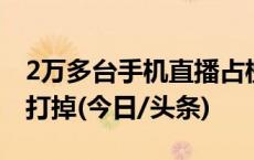 2万多台手机直播占榜，“网络水军”团伙被打掉(今日/头条)