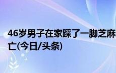 46岁男子在家踩了一脚芝麻秆遭马蜂攻击，一周后竟不幸身亡(今日/头条)