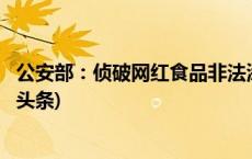 公安部：侦破网红食品非法添加等刑事案件5300余起(今日/头条)