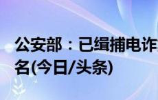 公安部：已缉捕电诈集团重大头目和骨干387名(今日/头条)