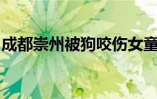 成都崇州被狗咬伤女童已转出ICU(今日/头条)