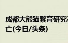 成都大熊猫繁育研究基地：大熊猫“奂彩”病亡(今日/头条)