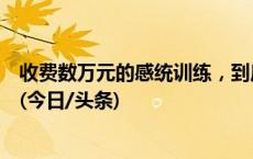 收费数万元的感统训练，到底练什么？师资如何？记者调查(今日/头条)