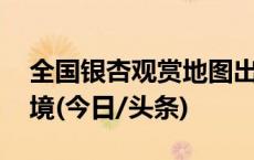 全国银杏观赏地图出炉 十大绝美胜地渐入佳境(今日/头条)