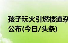 孩子玩火引燃楼道杂物致5死3伤，调查报告公布(今日/头条)