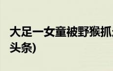 大足一女童被野猴抓走？假的，别信！(今日/头条)