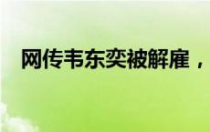 网传韦东奕被解雇，北大辟谣(今日/头条)