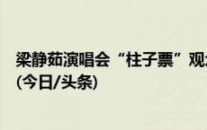 梁静茹演唱会“柱子票”观众起诉主办方，案件开庭未宣判(今日/头条)