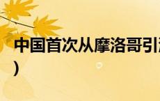 中国首次从摩洛哥引渡犯罪嫌疑人(今日/头条)