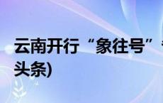 云南开行“象往号”省内环线旅游列车(今日/头条)