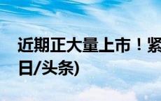 近期正大量上市！紧急提醒：不要一起吃(今日/头条)