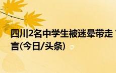 四川2名中学生被迷晕带走？公安：小孩不愿上学编造的谎言(今日/头条)