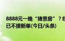 8888元一晚“猪景房”？经营方：系年卡套餐还送1头猪，已不接新单(今日/头条)