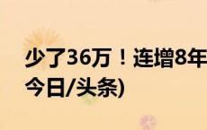 少了36万！连增8年后，考研报名人数降了(今日/头条)