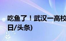 吃鱼了！武汉一高校师生拉网捕鱼免费吃(今日/头条)