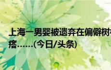 上海一男婴被遗弃在偏僻树林：躺在纸箱里，脸上都是红疙瘩……(今日/头条)