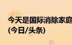 今天是国际消除家庭暴力日，向家暴说“不”(今日/头条)