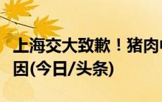 上海交大致歉！猪肉中出现针头可能有三种原因(今日/头条)