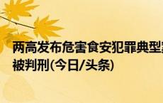 两高发布危害食安犯罪典型案例：用鸭肉等冒充牛肉，多人被判刑(今日/头条)