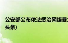 公安部公布依法惩治网络暴力违法犯罪10起典型案例(今日/头条)