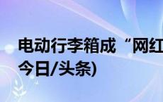 电动行李箱成“网红代步神器”？交警提示(今日/头条)