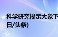 科学研究揭示大象下颌与长鼻的演化过程(今日/头条)