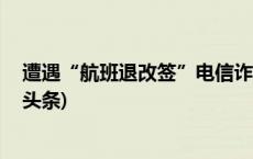 遭遇“航班退改签”电信诈骗，一女子被骗147万元(今日/头条)