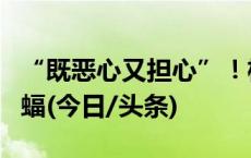 “既恶心又担心”！杨国福自热锅疑似吃出蝙蝠(今日/头条)