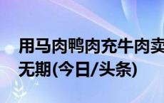 用马肉鸭肉充牛肉卖了近3000万，主犯被判无期(今日/头条)