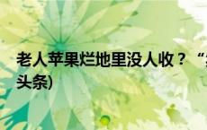 老人苹果烂地里没人收？“卖惨营销”或构成诈骗罪(今日/头条)