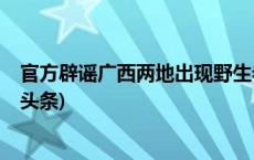 官方辟谣广西两地出现野生老虎：不实，系网民吹嘘(今日/头条)